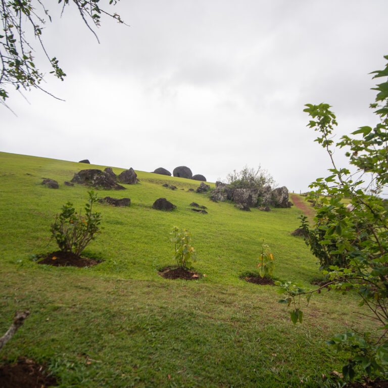 DSC01181