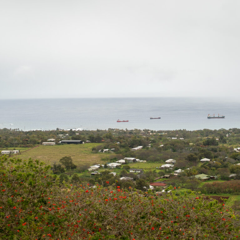 DSC01288